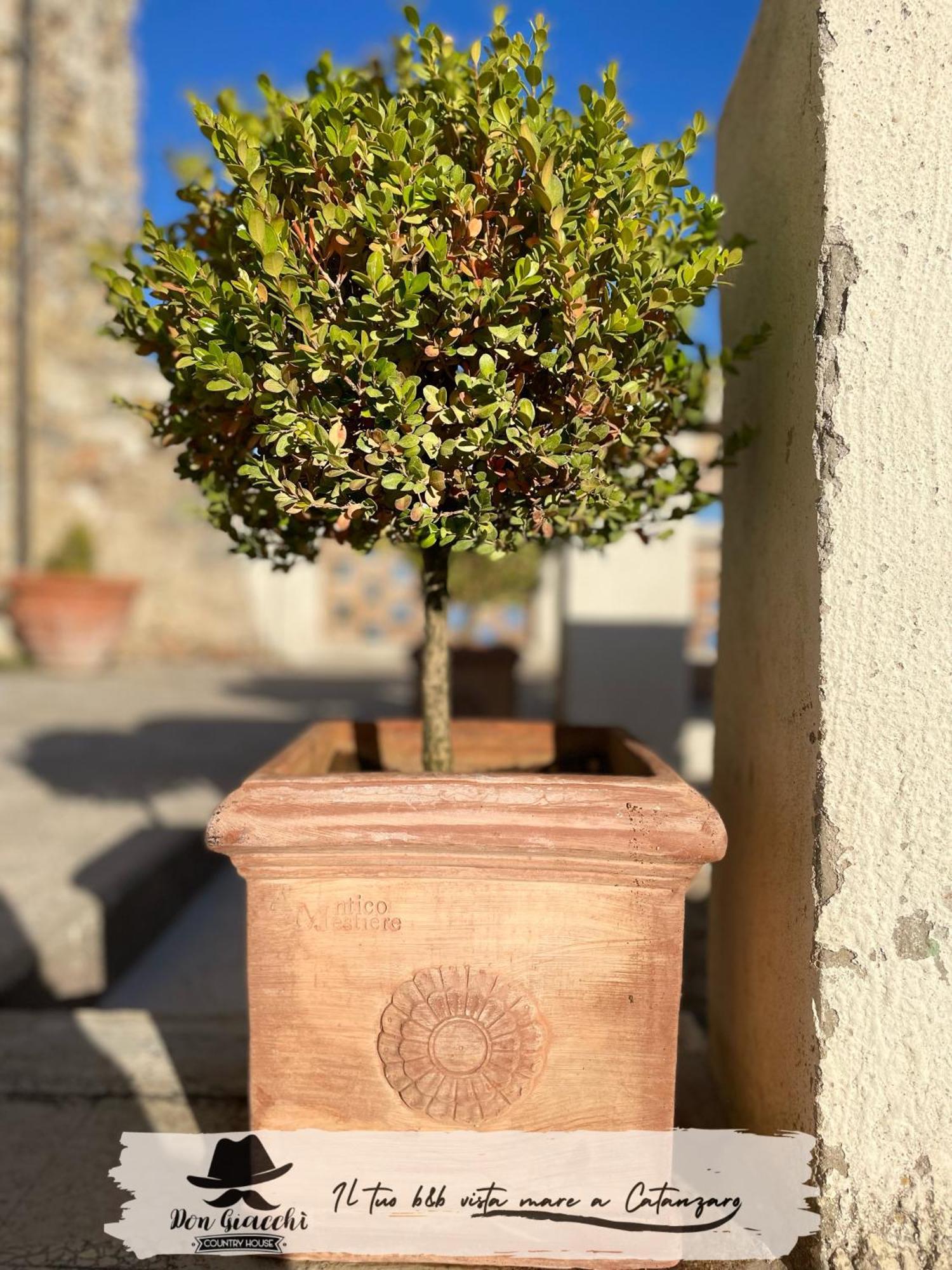 Don Giacchi Country House Catanzaro Eksteriør bilde